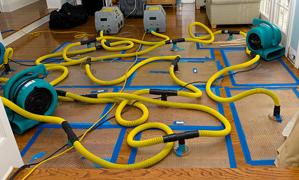 Professional Burst Pipe Water Damage technician working in Kendalia, TX